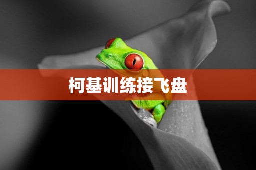 柯基訓練接飛盤