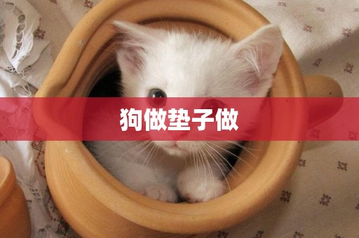 狗做墊子做