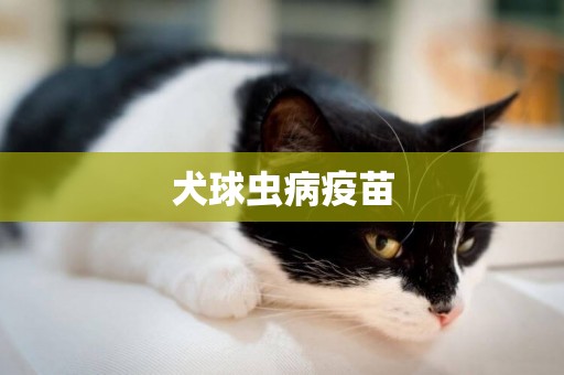 犬球蟲病疫苗