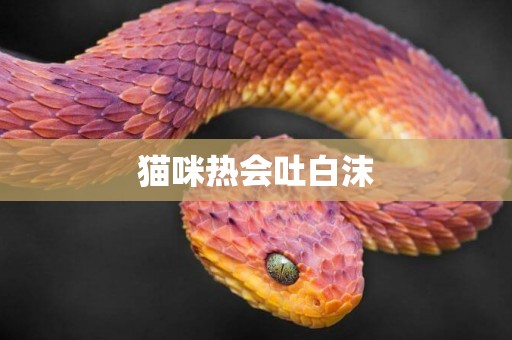 貓咪熱會吐白沫