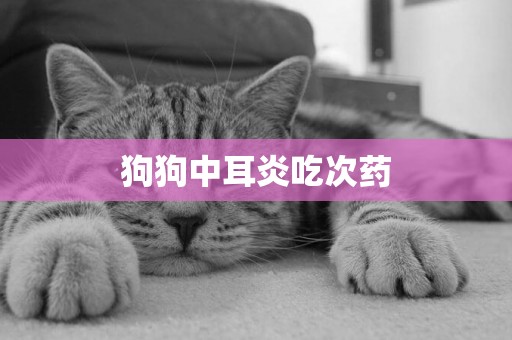 狗狗中耳炎吃次藥
