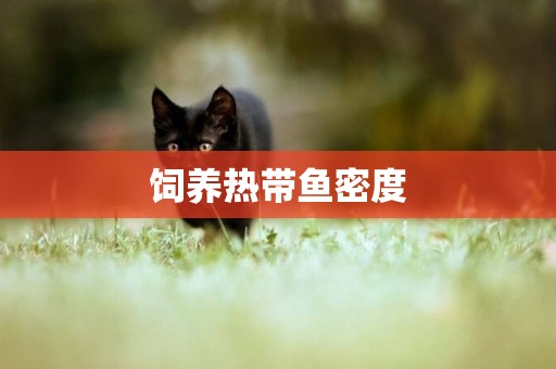 飼養熱帶魚密度
