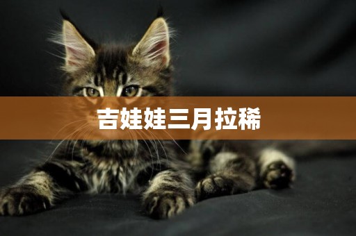 吉娃娃三月拉稀