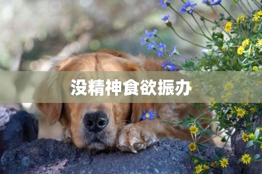 沒精神食欲振辦