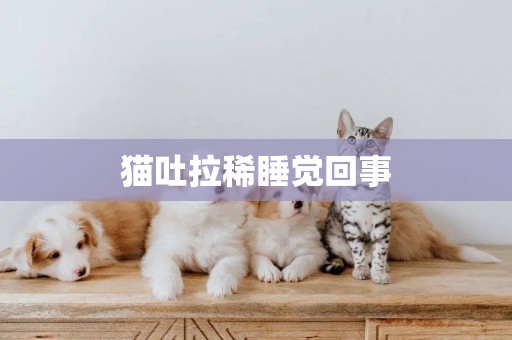 貓吐拉稀睡覺回事