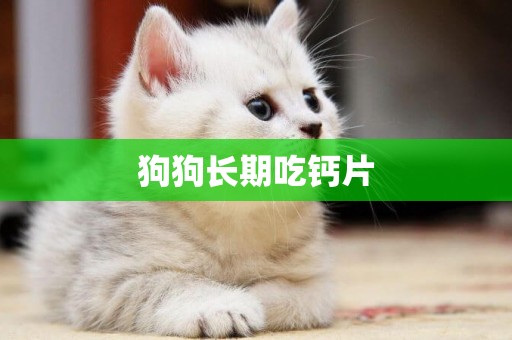 狗狗長期吃鈣片