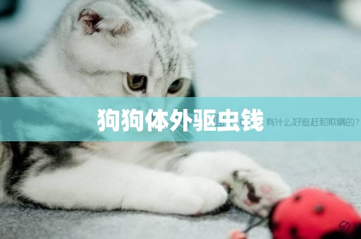 狗狗體外驅蟲錢