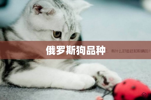 俄羅斯狗品種