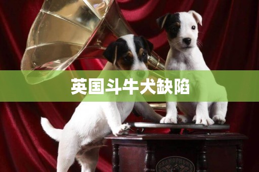 英國斗牛犬缺陷
