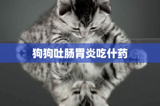 狗狗吐腸胃炎吃什藥