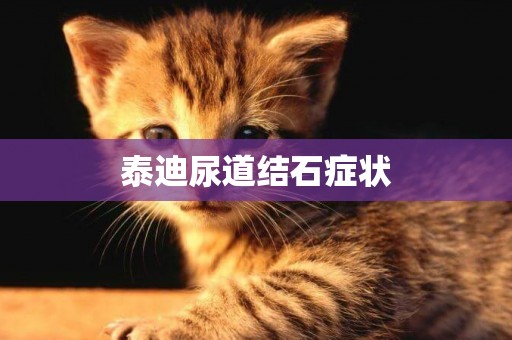 泰迪尿道結石癥狀