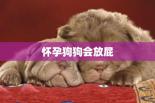 懷孕狗狗會放屁