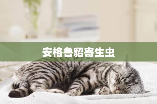 安格魯貂寄生蟲