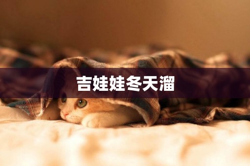 吉娃娃冬天溜