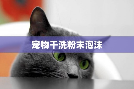 寵物干洗粉末泡沫