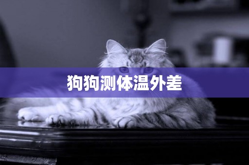 狗狗測體溫外差