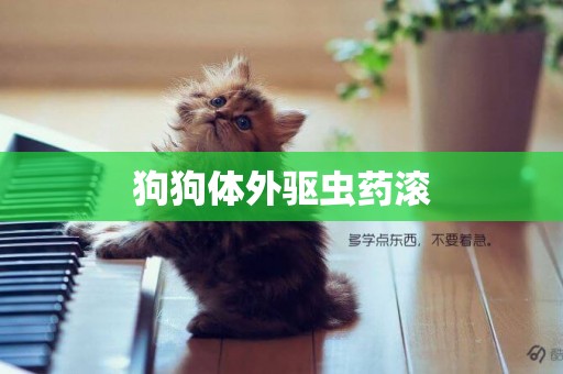 狗狗體外驅蟲藥滾
