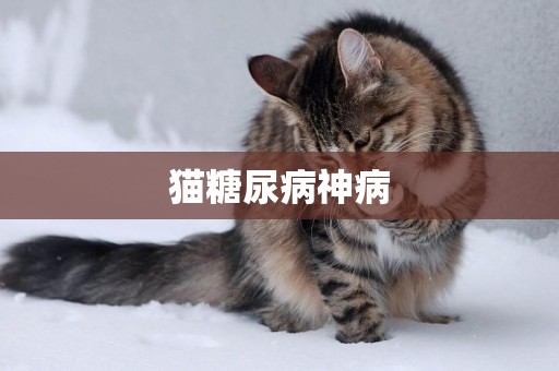 貓糖尿病神病