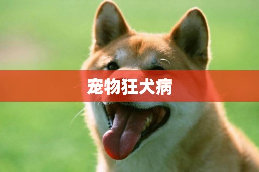 寵物狂犬病