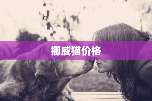 挪威貓價格
