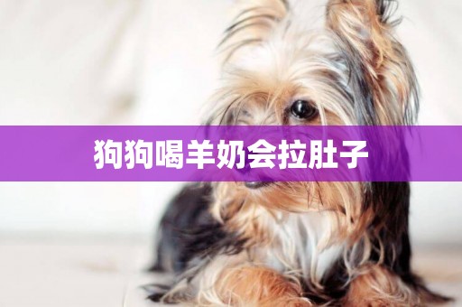 狗狗喝羊奶會拉肚子