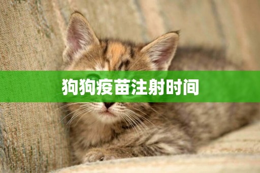 狗狗疫苗注射時間