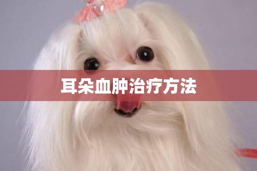 耳朵血腫治療方法