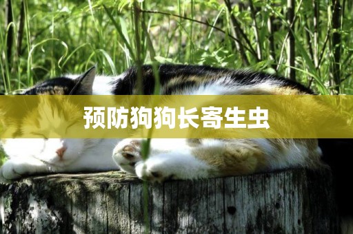 預防狗狗長寄生蟲