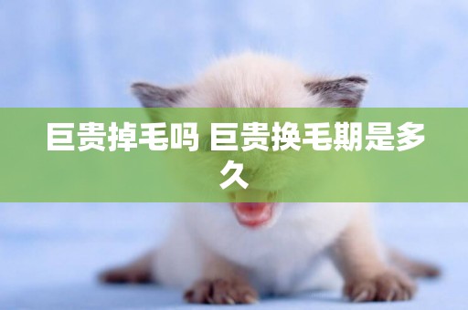巨貴掉毛嗎 巨貴換毛期是多久