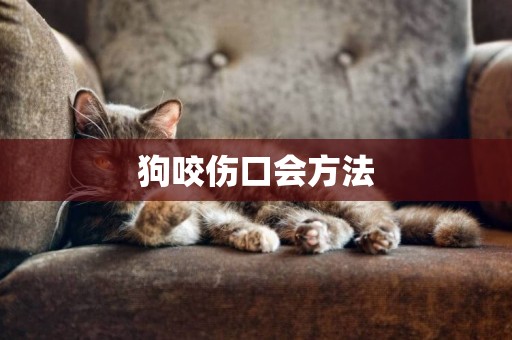 狗咬傷口會方法