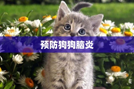 預防狗狗腦炎