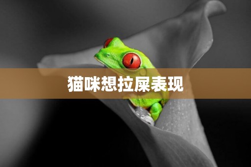 貓咪想拉屎表現