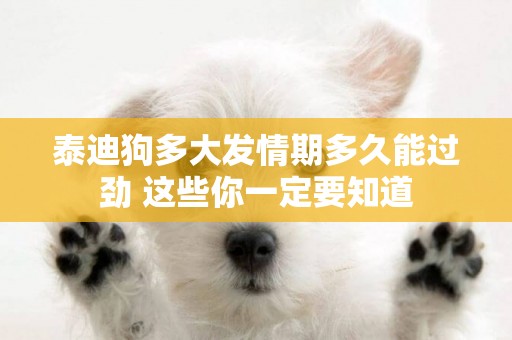 泰迪狗多大發情期多久能過勁 這些你一定要知道