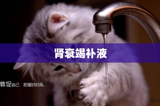 腎衰竭補液