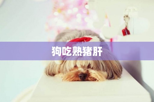 狗吃熟豬肝