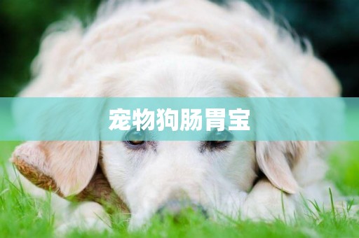 寵物狗腸胃寶
