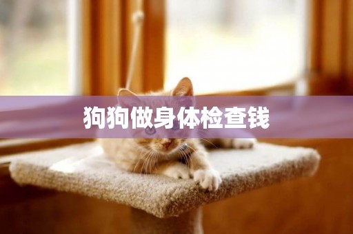 狗狗做身體檢查錢
