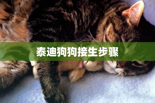 泰迪狗狗接生步驟