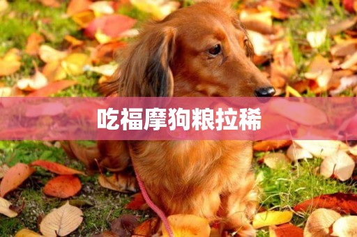 吃福摩狗糧拉稀