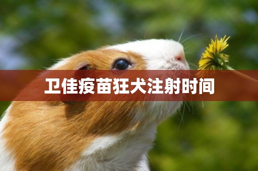 衛佳疫苗狂犬注射時間