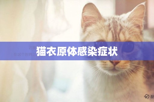 貓衣原體感染癥狀