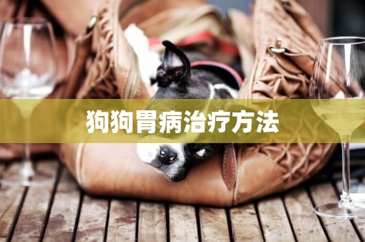 狗狗胃病治療方法