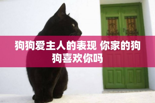 狗狗愛主人的表現 你家的狗狗喜歡你嗎 狗狗愛主人的表現 你家的狗狗喜歡你嗎