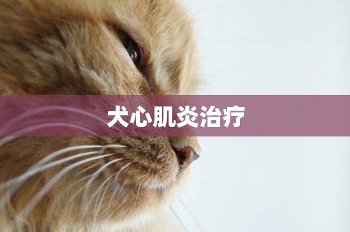 犬心肌炎治療