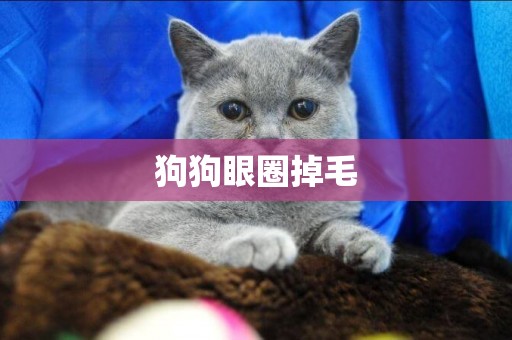 狗狗眼圈掉毛