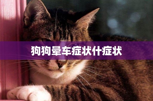 狗狗暈車癥狀什癥狀