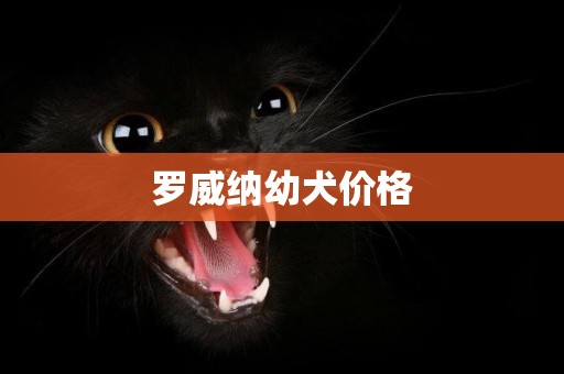 羅威納幼犬價格