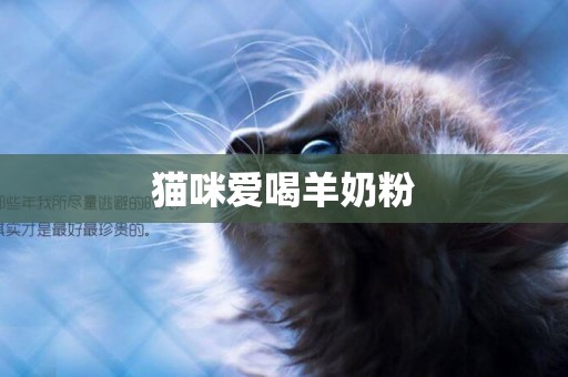 貓咪愛喝羊奶粉