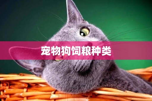 寵物狗飼糧種類