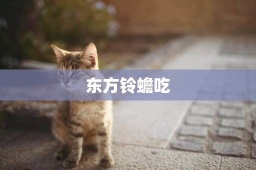 東方鈴蟾吃